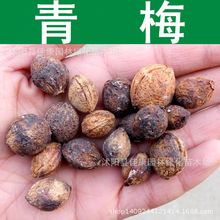 林木種子 青梅種子 海梅果 梅子種子 苦香 1件=1斤