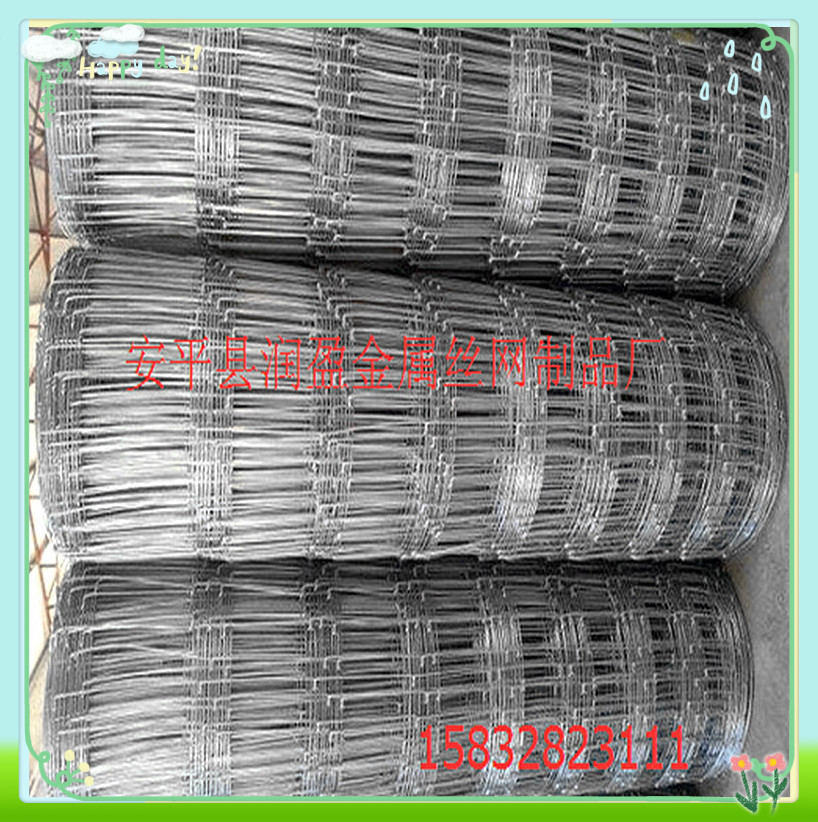 草原镀锌钢丝围栏网