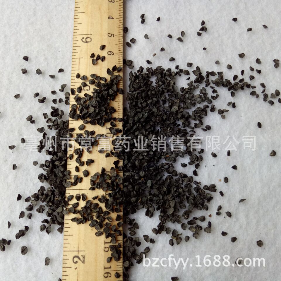Dried Chinese Chive Seeds Jiu Cai Zi 500g Whole Seeds Traditional Herbal Ingredient key features