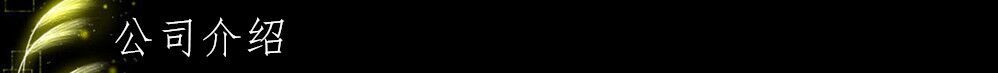 公司介绍
