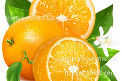 食用甜橙香精——甜橙香气