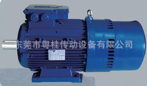 意大利Temporiti泰普力刹车马达 Temporiti刹车电机REBM132B2