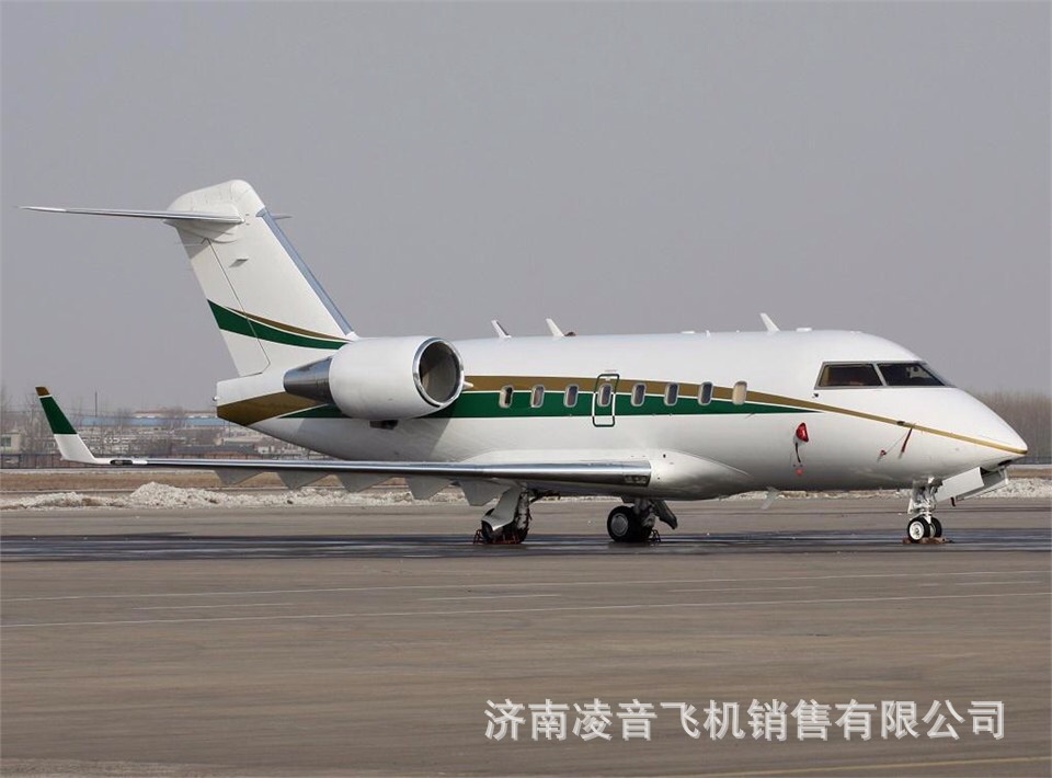 ����˽�˷ɻ� �Ӱ͵�/��ս��601-3A/ER����� ����˽�˹����