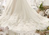 New wedding dresses trailing wedding dresses deep V big Lace Bridal Wedding Dresses