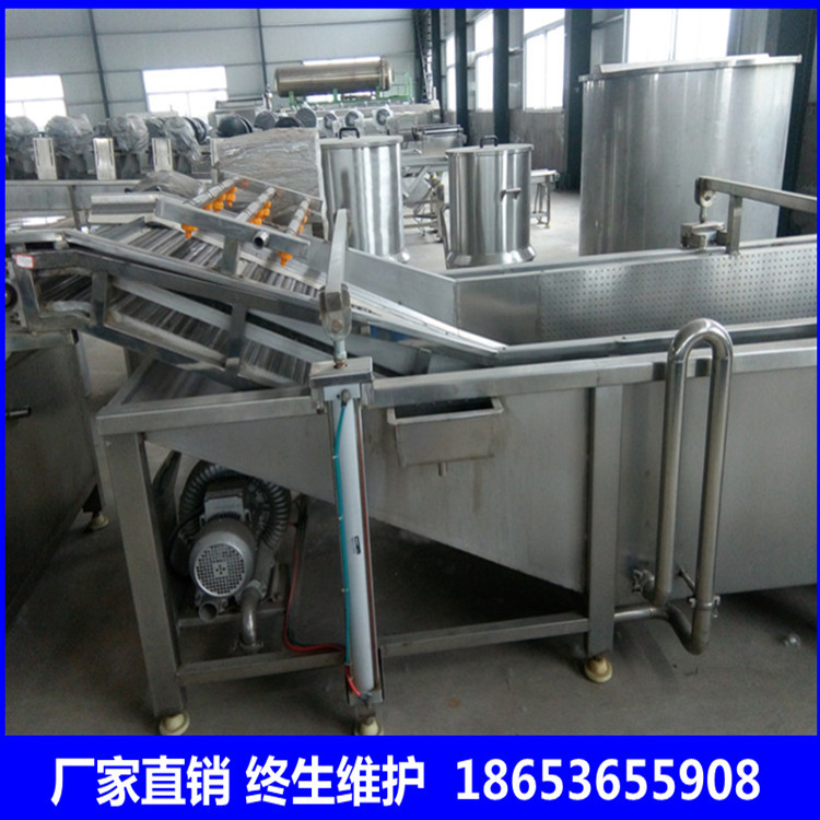 鸿辉批发苹果清洗机 食用菌类清洗机 气泡清洗机
