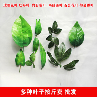 diy�ֹ��z�W�����Ϸ��滨�~�ӆ�Ƭ�ٺϻ��~���~���l