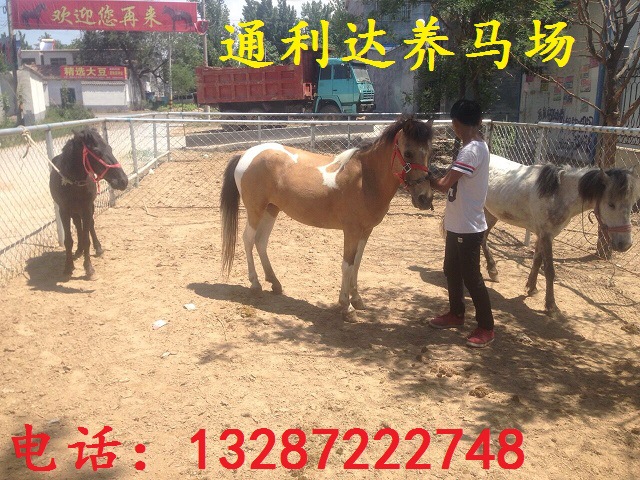 QQ图片20160521112513