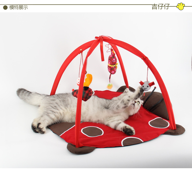 A105猫咪帐篷房详情图_12