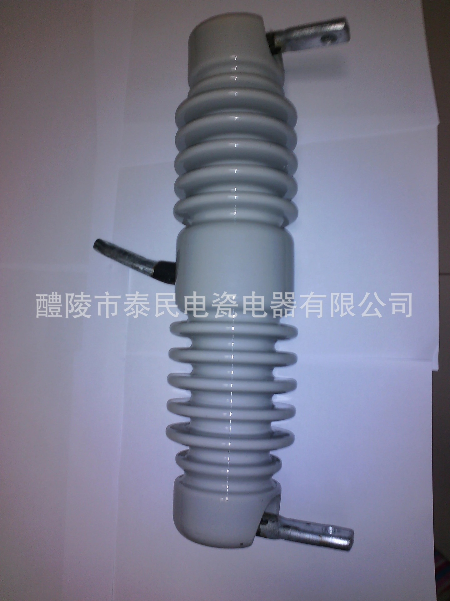 泰民电瓷电器     熔断器绝缘子      QHCRW-12/100-12.5