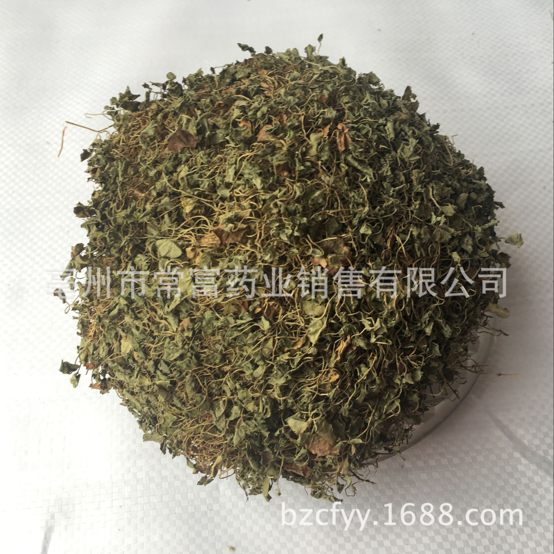 Dried Dichondra Herb Ma Ti Jin 500g Traditional Chinese Herbal Tea Ingredient key features