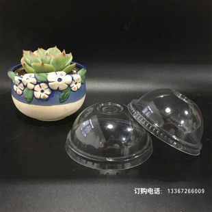 �i��һ��������w�̲豭͸���w�ӏS�����l��֭���͸�����w