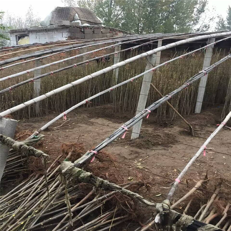 QQ图片20160908210707