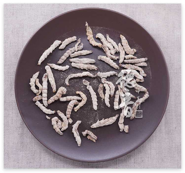 White Silkworm Jiang Can 500g Dried Bombyx Batryticatus Bulk Herb for Decoction and Powder quality and texture