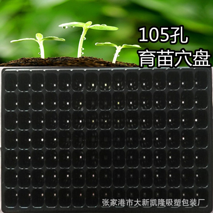 105孔育苗穴盘1