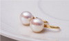 Fashionable earrings from pearl, accessory, Korean style, simple and elegant design, wholesale