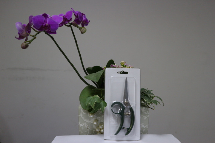 园林果剪 园艺修枝剪 园林工具 花 果树剪 台湾修枝剪