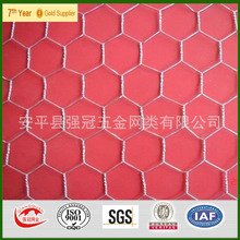 �����ξ����W �B�u�F�z�W ���w���ؾW����ƽ�S�����l