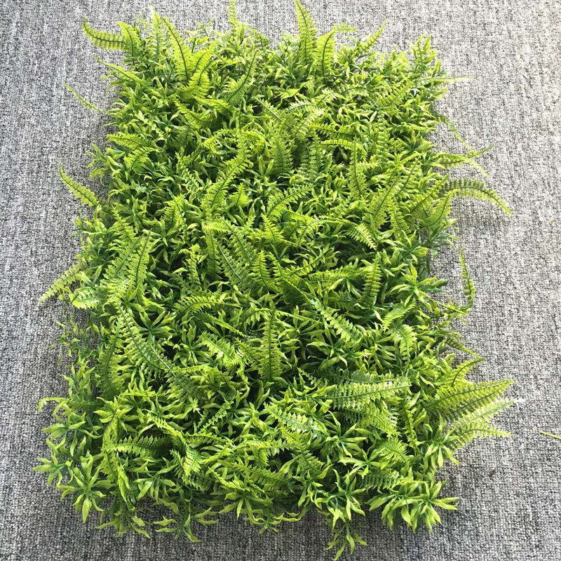 QQ图片20160707150014_副本