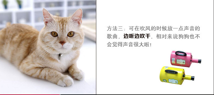 3Y]}N$ENDZA1}PSIB2`R(XG