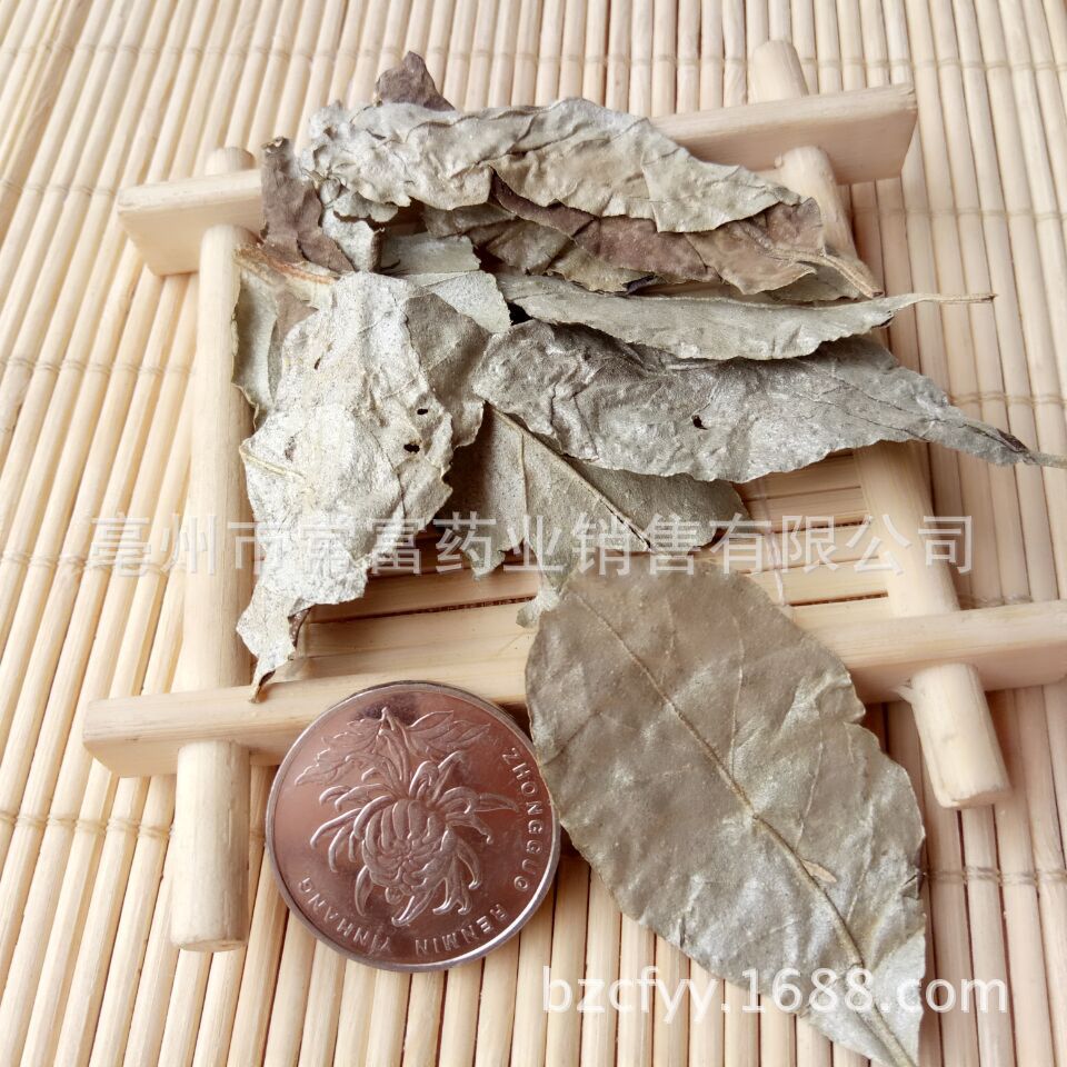 Dried Elaeagnus Leaf Hu Tu Zi Ye Whole Herb 500g Traditional Chinese Herbal Ingredient overview