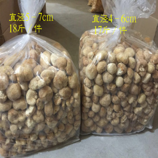 Fujian Gutian County Qiwei Cyberry Edible Mushroom Размер 4-6 см 1 штука = 500