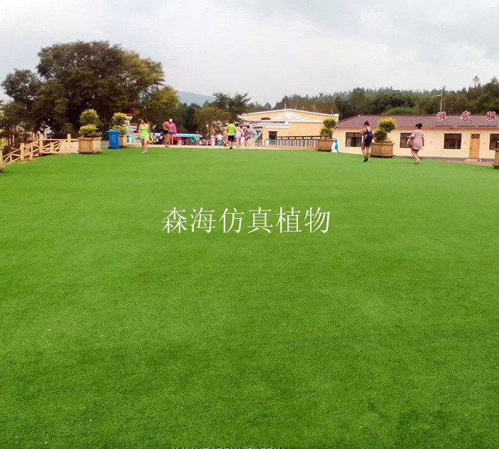 TB21omnjpXXXXarXXXXXXXXXXXX_!!