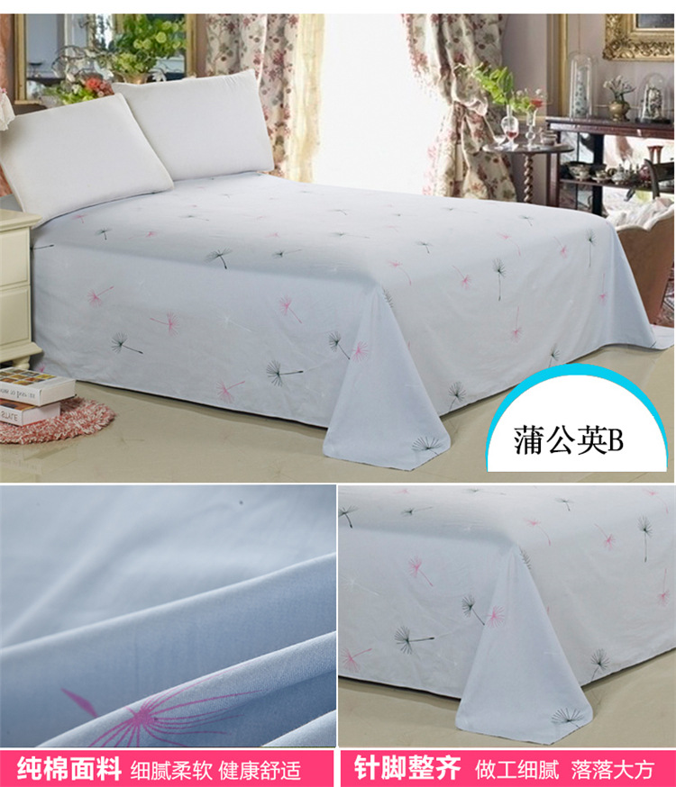 蒲公英B