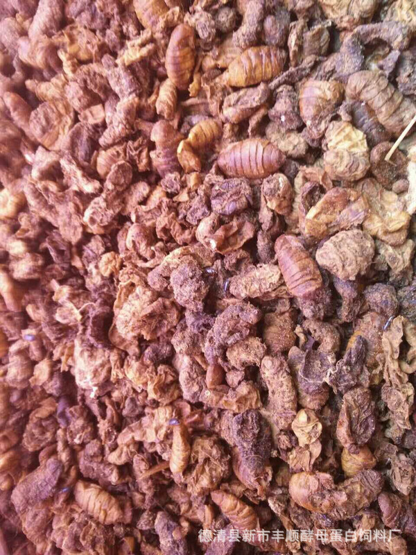 QQ图片20160519162347