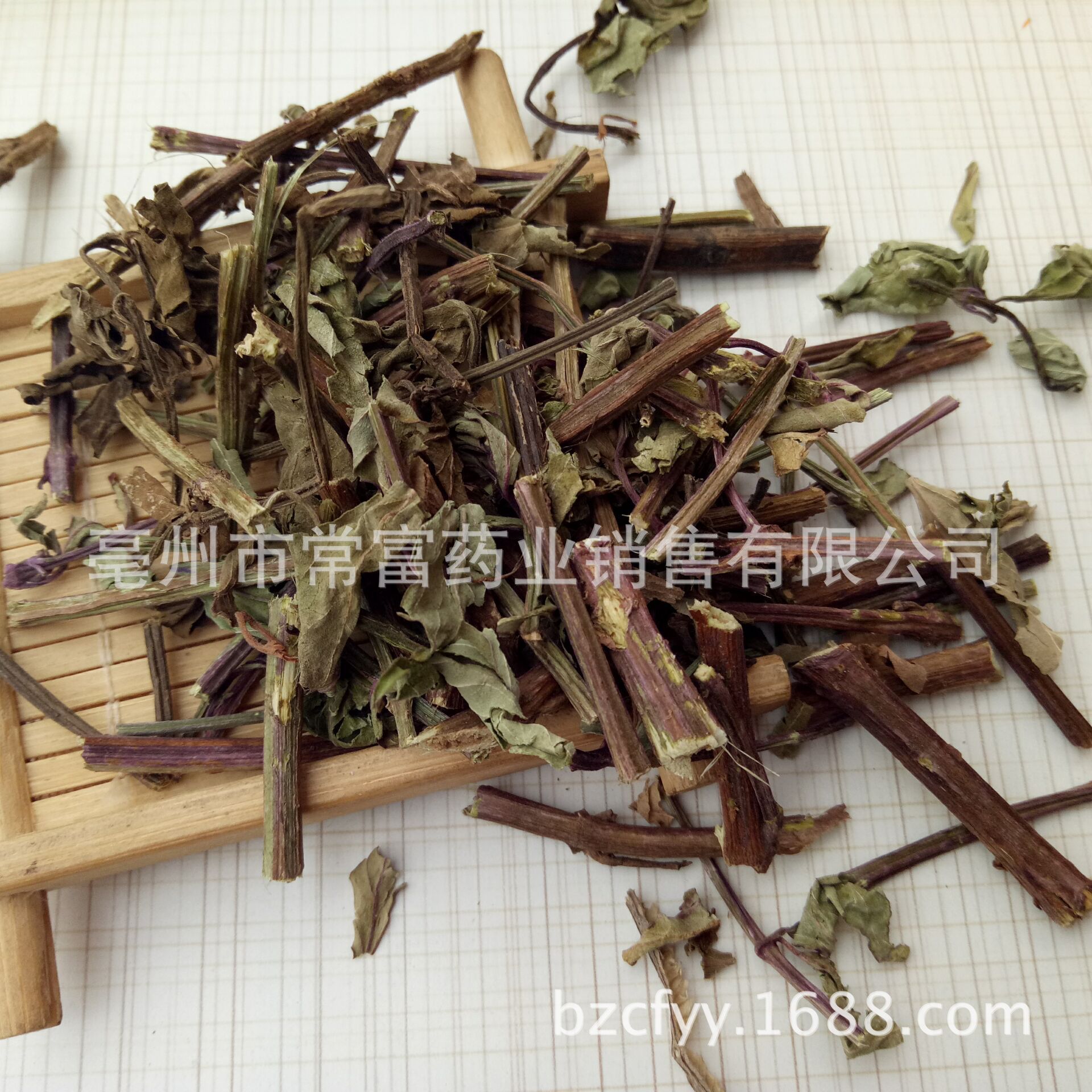Mao Xu Cao Cat Whisker Herb Dried Orthosiphon Leaves 500g Traditional Herbal Tea Ingredient quality and texture