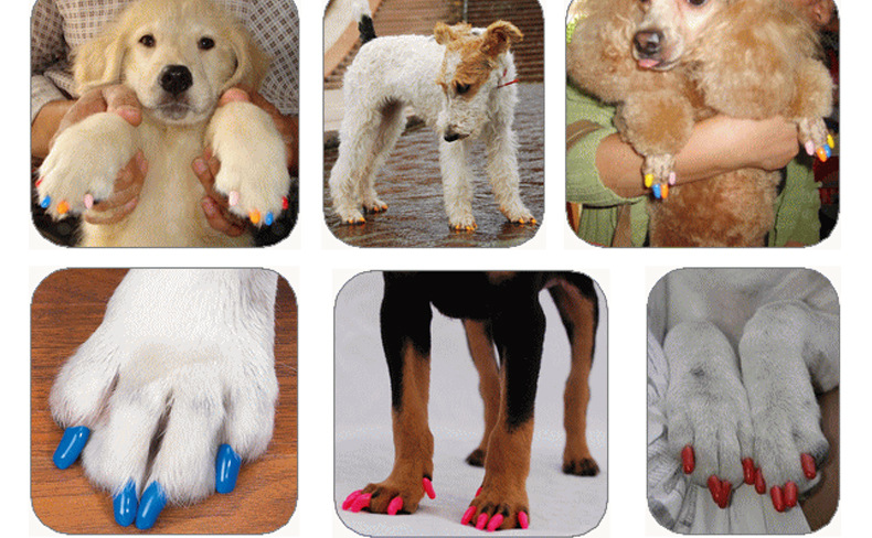 TB2_kH8iFXXXXb4XpXXXXXXXXXX_!!