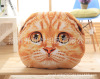 Detachable cartoon pillow, realistic cute plush toy, kitten