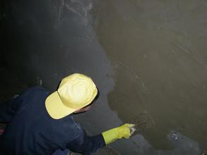 u=4109812247,1332063907&fm