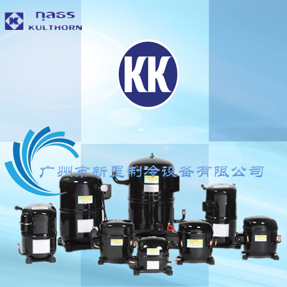 原装进口泰国泰康KK压缩机AE4430EK冰箱冷柜压缩机静音节能