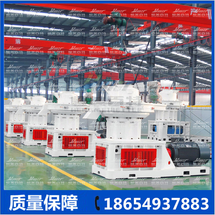 新65565656565_副本