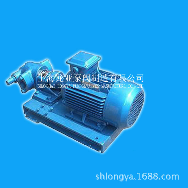 供应2CY3/25移动式齿轮油泵 铸铁变频供油齿轮泵 齿轮式润滑泵