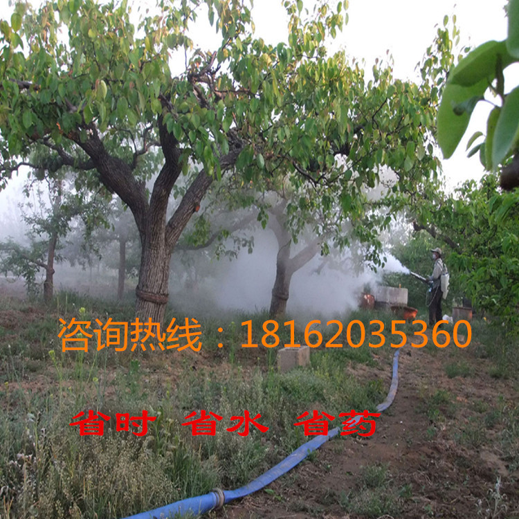 高压烟雾机 汽油背负式打药机 手提式烟雾机