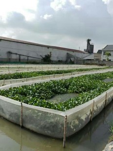 ˮ���Bֳ�Y�ϼ��g��ȫ�������BֳΛ�ȣ�ˮ�ε��Bֳ����