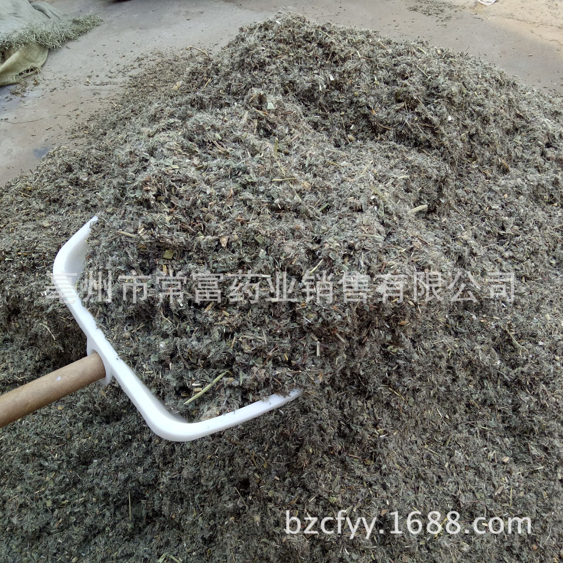 Dried Cirsium Herb Xiao Ji 小蓟 Sliced Chinese Herbal Tea Material 500g preparation