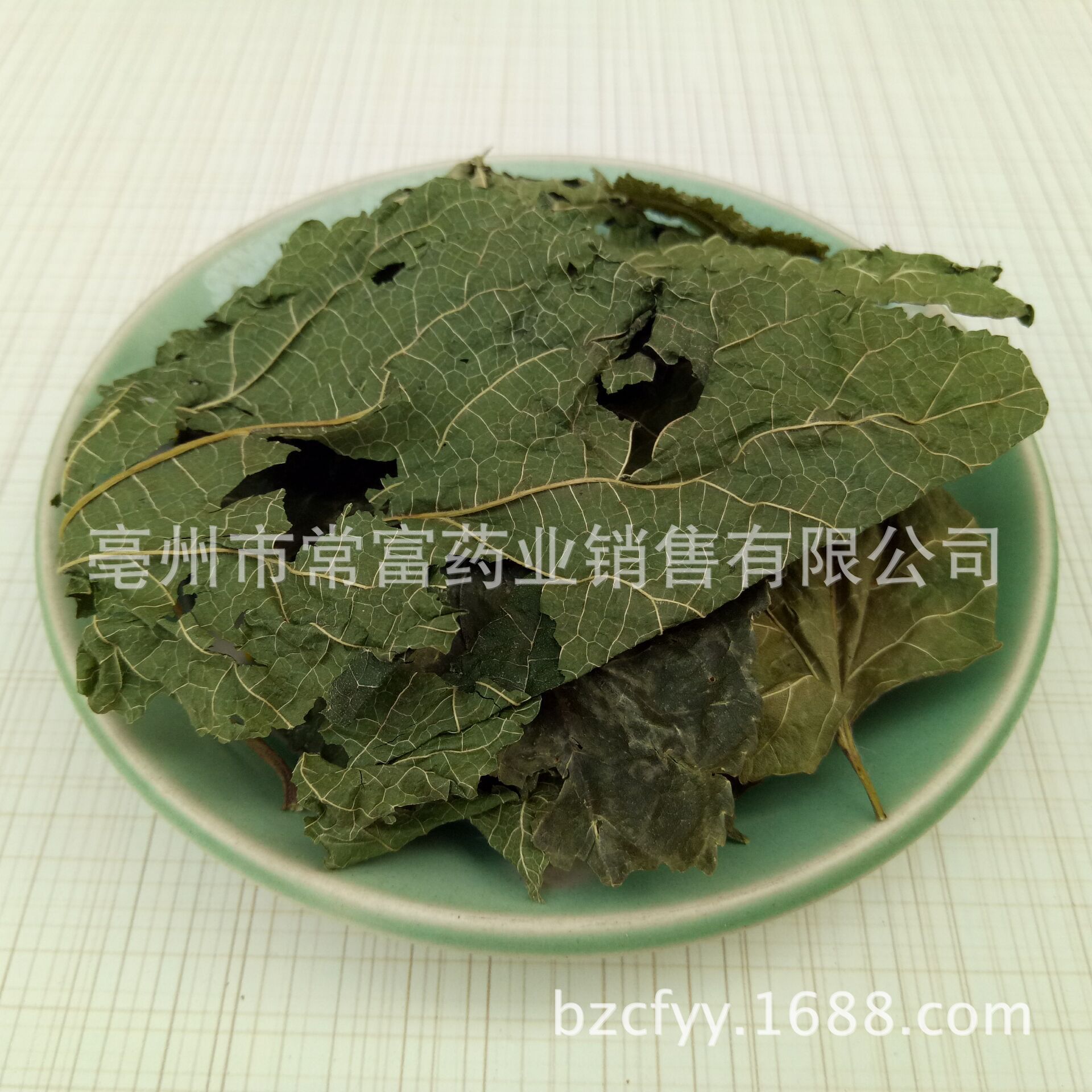 供应中药材桑叶 青桑叶 桑椹树药用霜桑叶蚕桑袋泡茶粉碎一件代发-阿里巴巴