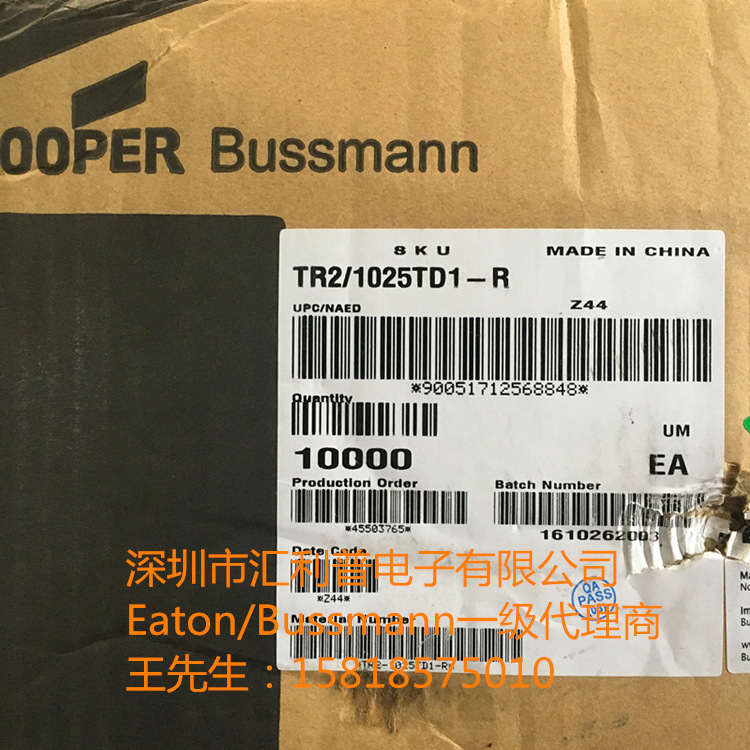 一级代理Bussmann保险丝SS-5H-200mA-AP/T160mA800mA250V300V方型