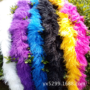 �S��ֱ�N�������N�ɫ�r����̨�����r�Bë�l��ë��������߅��ë