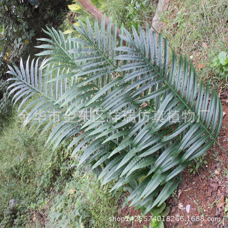 Simulated coconut tree palm leaf tropical green Botanical Garden Engineering Museum coconut leaf false sunflower leaf loose tail leaf Simulated coconut tree palm leaf tropical green Botanical Garden Engineering Museum coconut leaf false sunflower leaf loose tail leaf