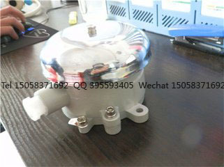 防爆电铃 BDL-125防爆电铃(IIB IIC级)36V 110V 220V警玲