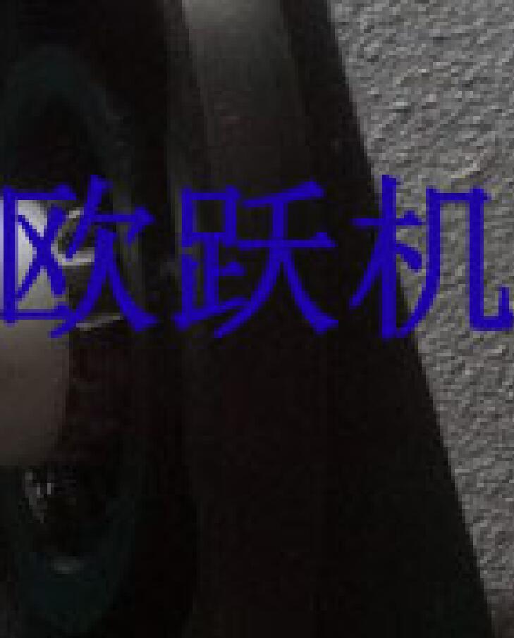 1PLA36 66DG09R1042R油泵齿轮泵装载机用泵1PLA66DG09R0634R