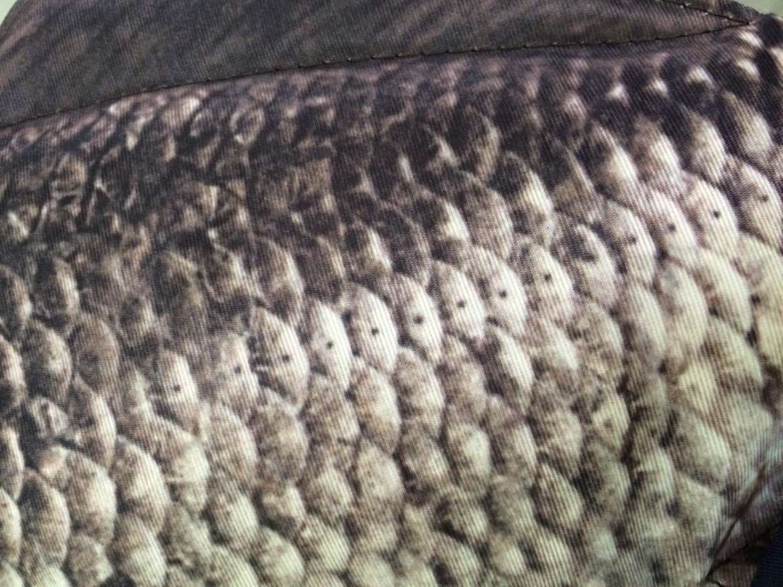 10EF56F4A1222F3FF9476C39C2B9E0