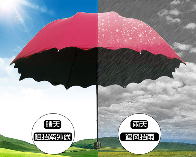 Umbrella performance 3