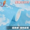 2303 0.61 meters wide * 5 meters long