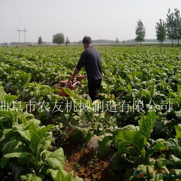 种植松土旋耕机 茶园管理旋耕机 塑料大棚旋耕机
