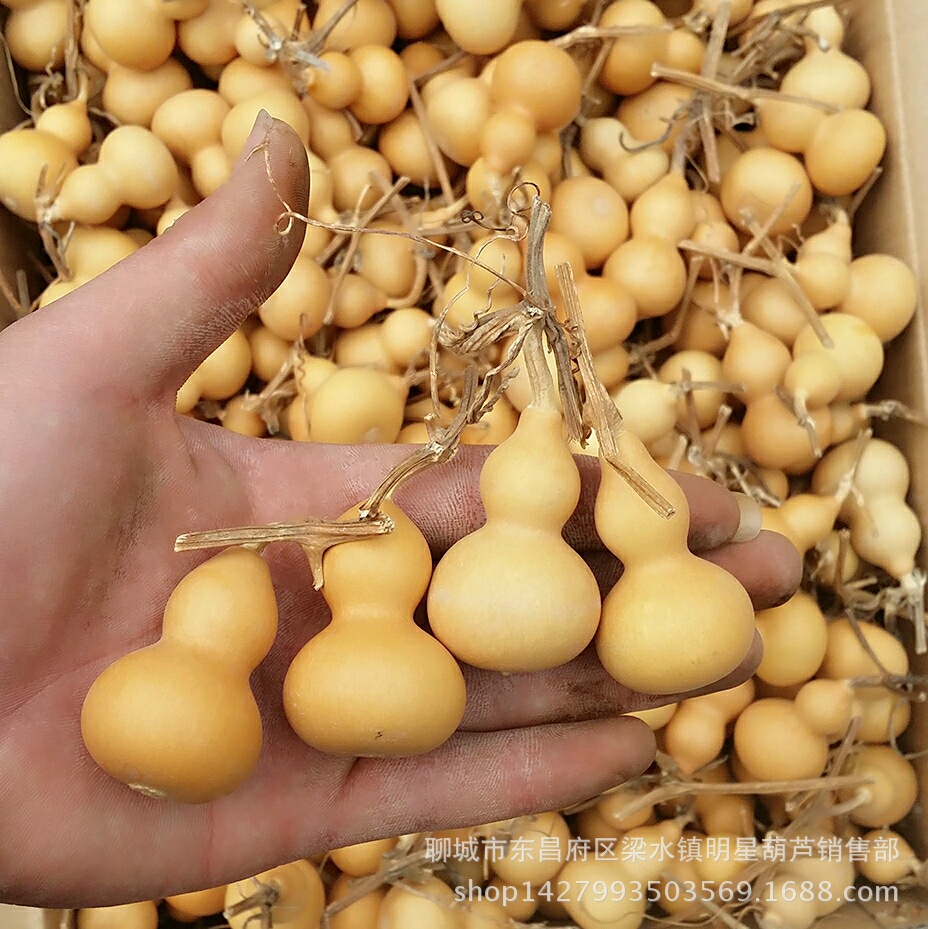 microMsg.1461128855626