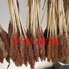 Red Gordon True Flower Flower Natural High Sands can fixed flowers color manufacturers direct sales wholesale